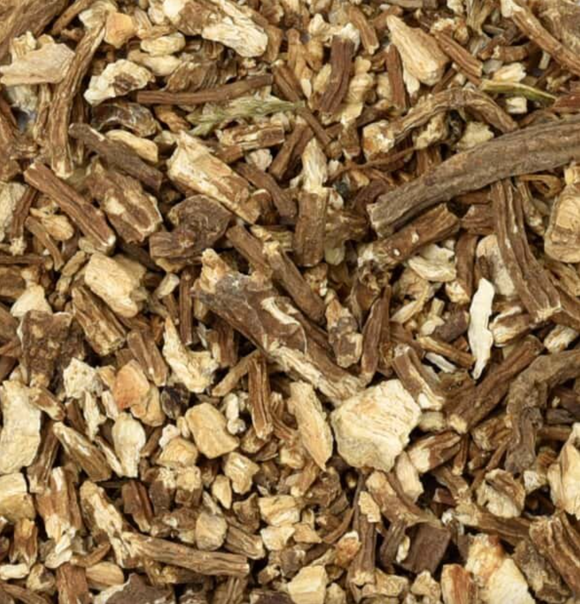 Close-up of dried angelica root, showing small chopped brown pieces used for teas and herbal remedies.