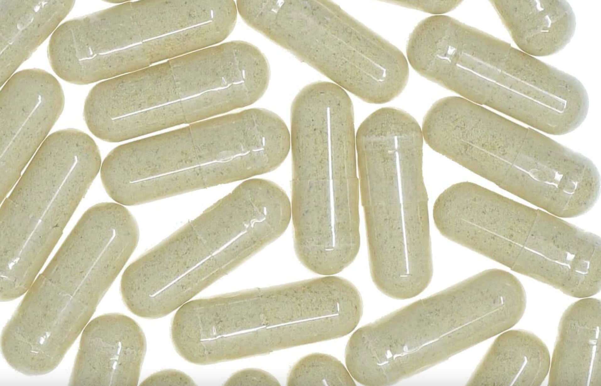 Astragalus root capsules with clear glossy shells, filled with beige powder, used for natural health and wellness.