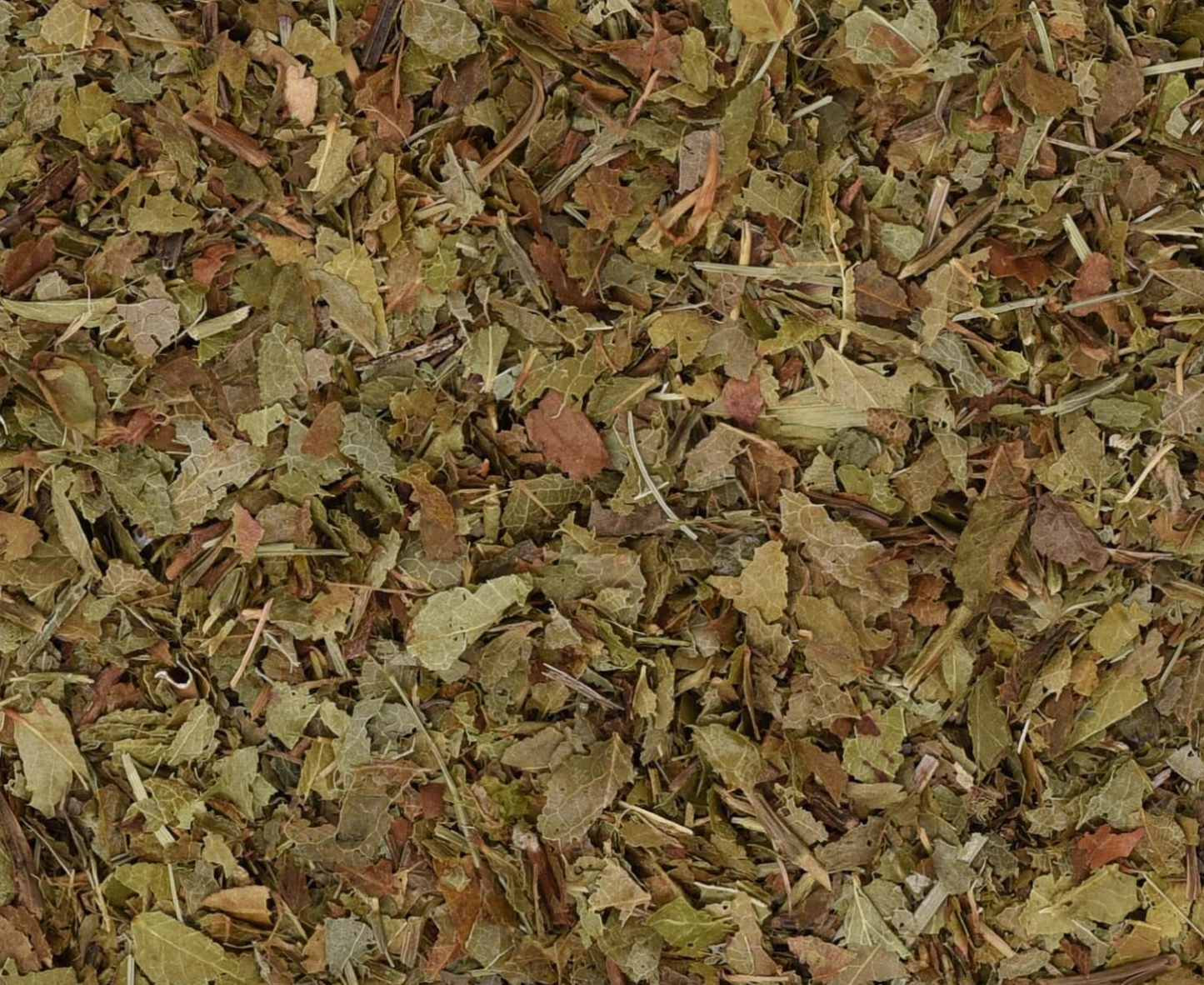 Close-up texture of dried bilberry leaf, showing small green leaf pieces used for teas and herbal remedies.
