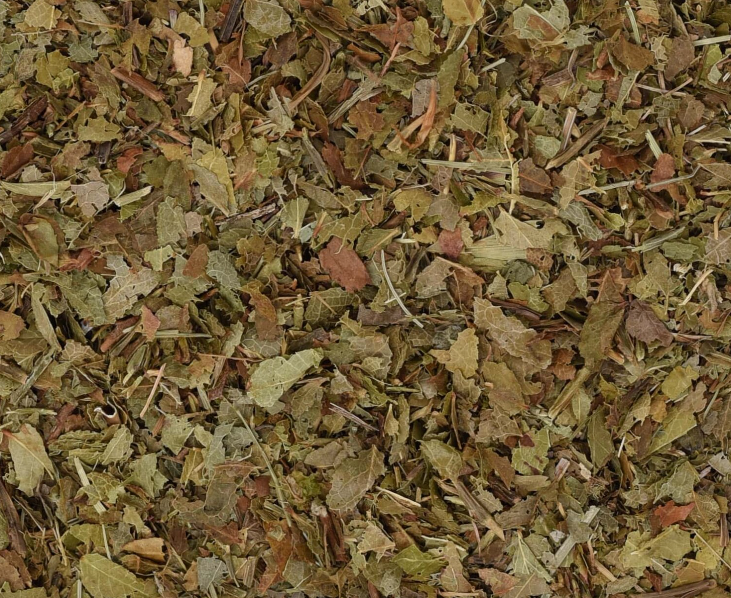 Close-up texture of dried bilberry leaf, showing small green leaf pieces used for teas and herbal remedies.