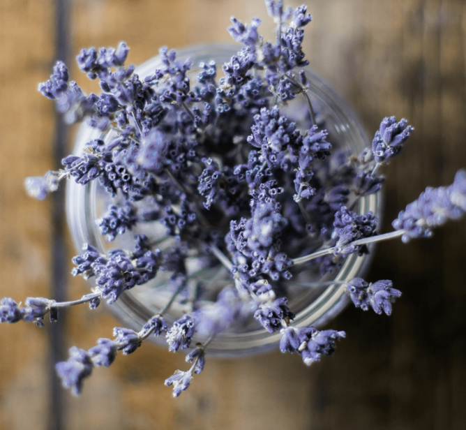 14 Best Herbs for Anxiety